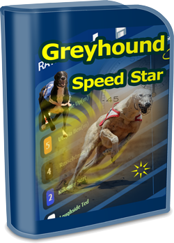 Greyhound Speed Star